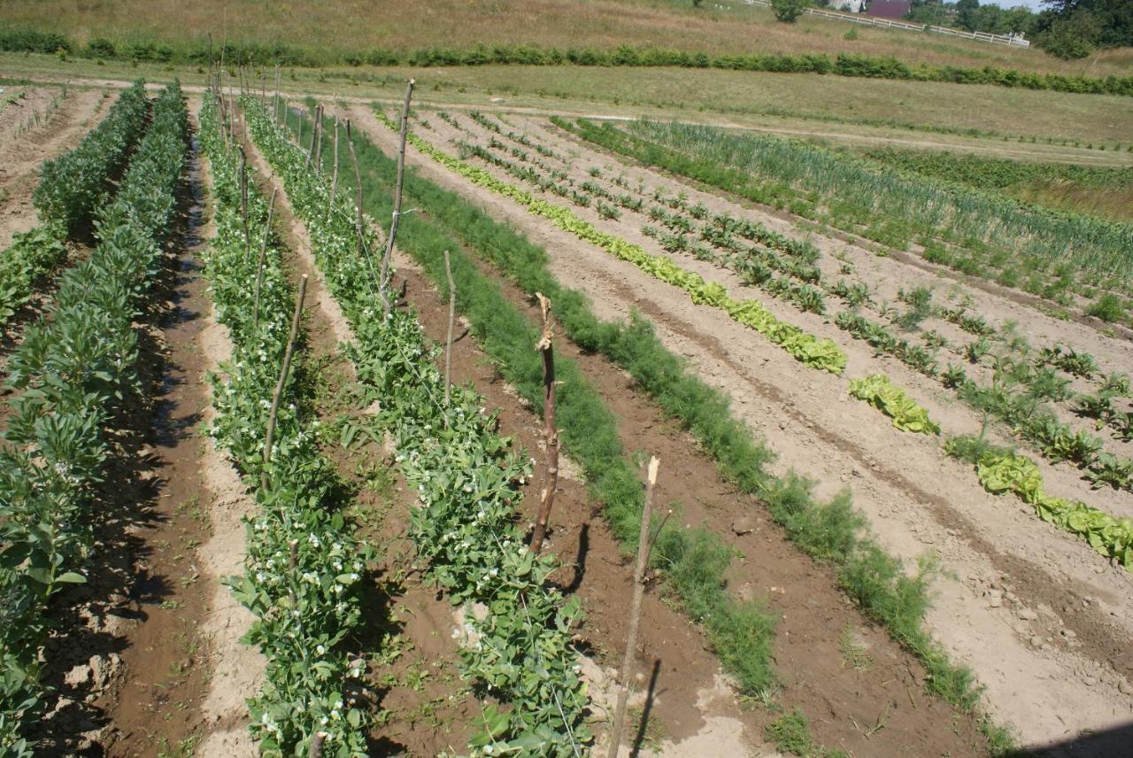 Agrodomki Okej -Dom Koko Gardna Wielka Exterior foto